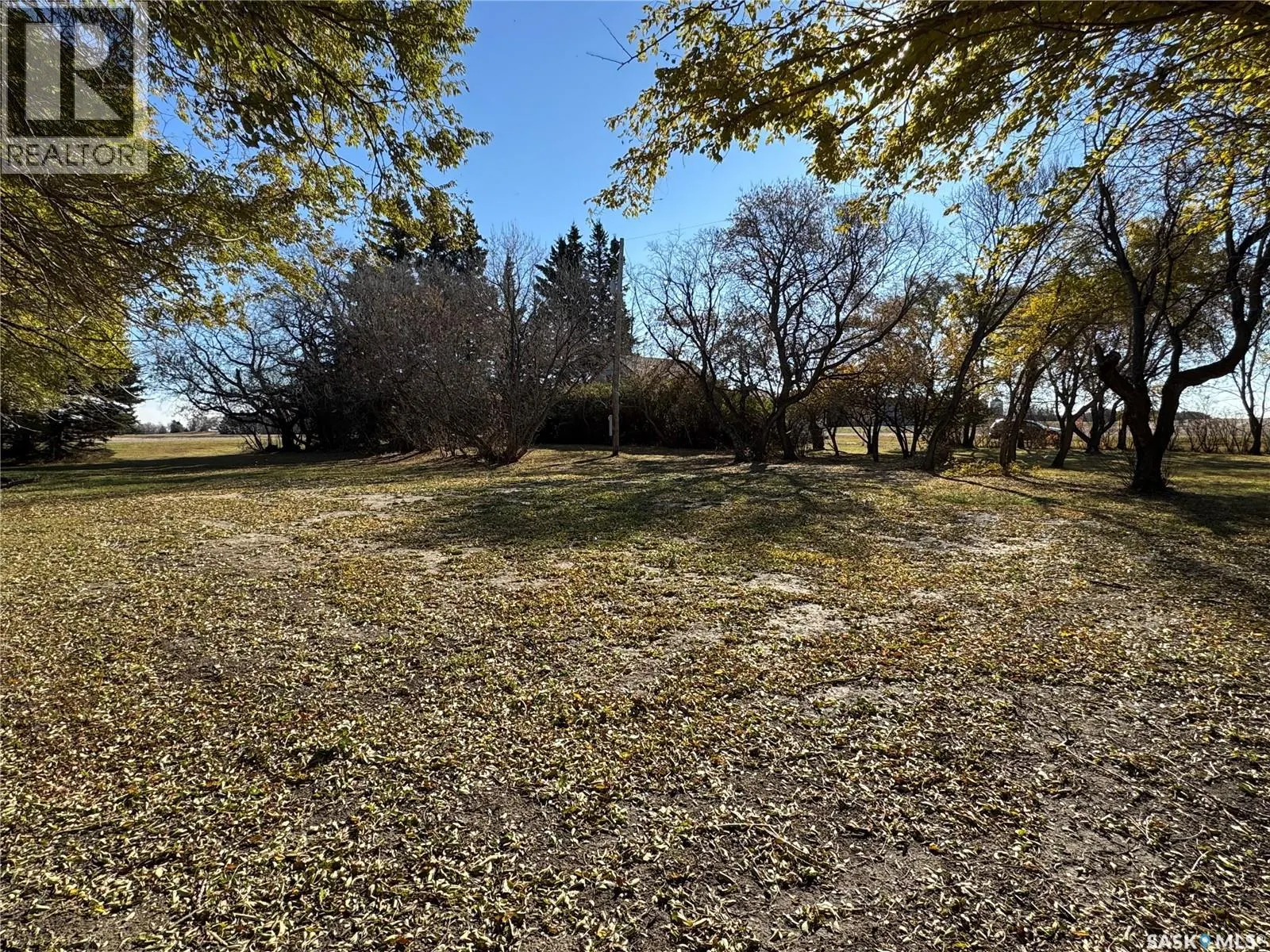 Shady Grove Acreage