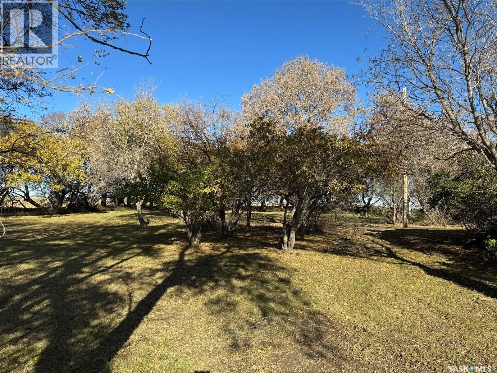 Shady Grove Acreage