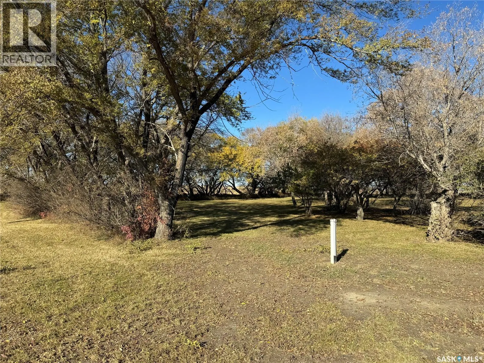 Shady Grove Acreage