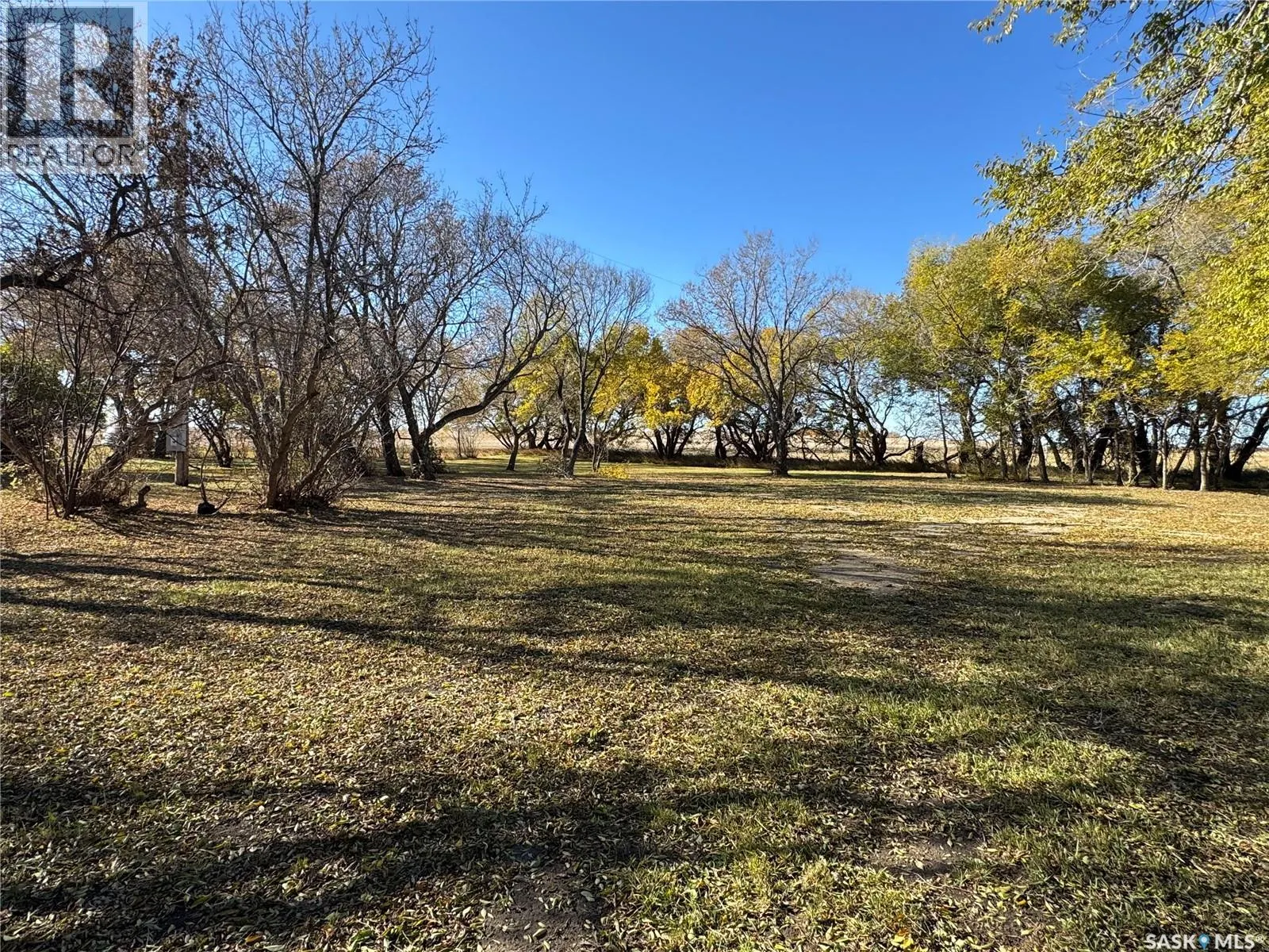 Shady Grove Acreage