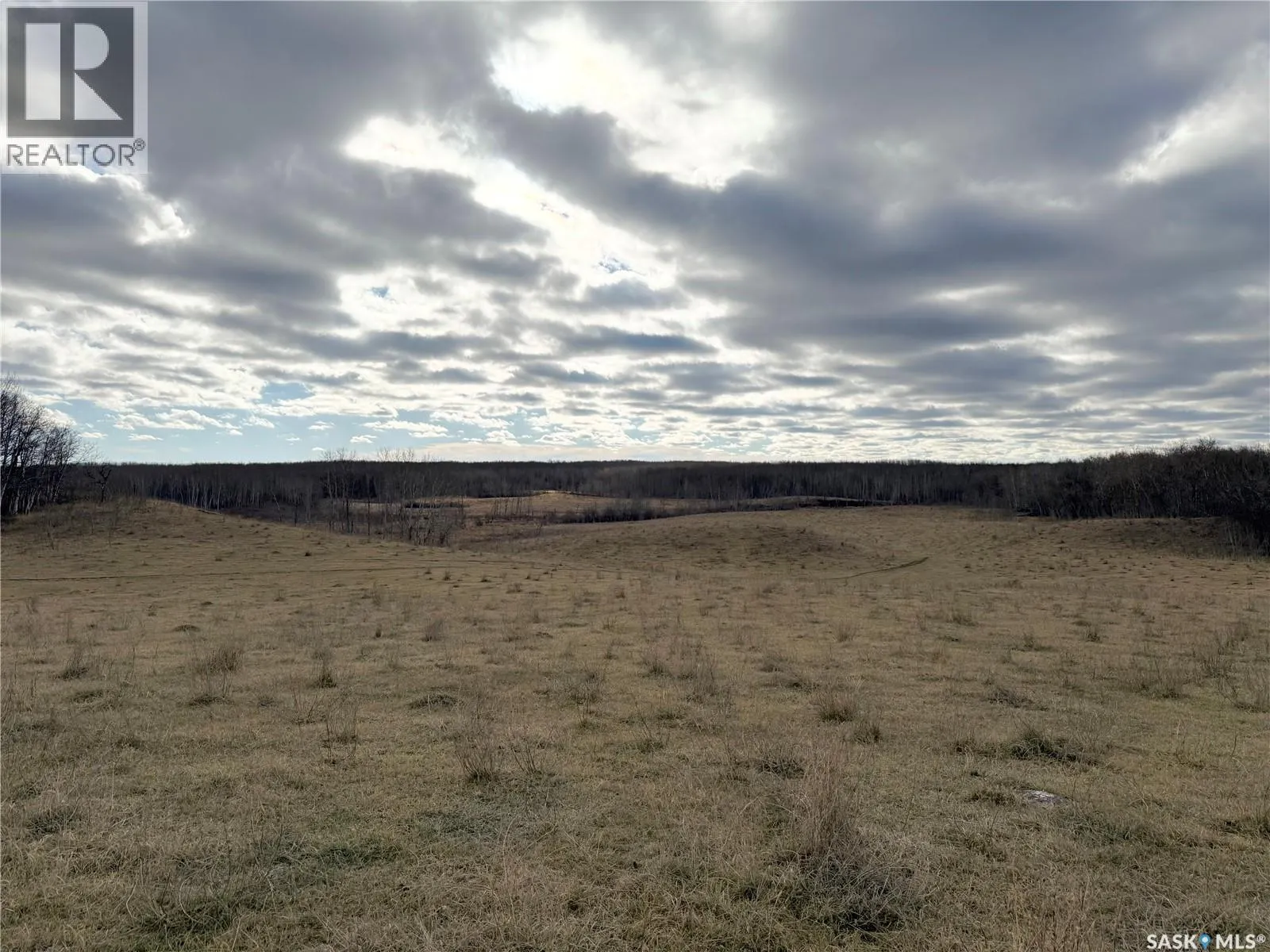 Shell Lake Pasture Quarter