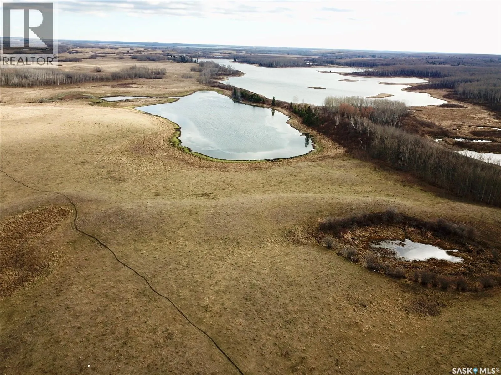 Shell Lake Pasture Quarter