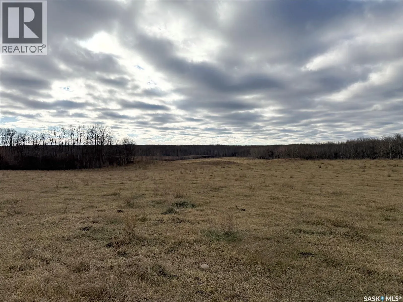 Shell Lake Pasture Quarter
