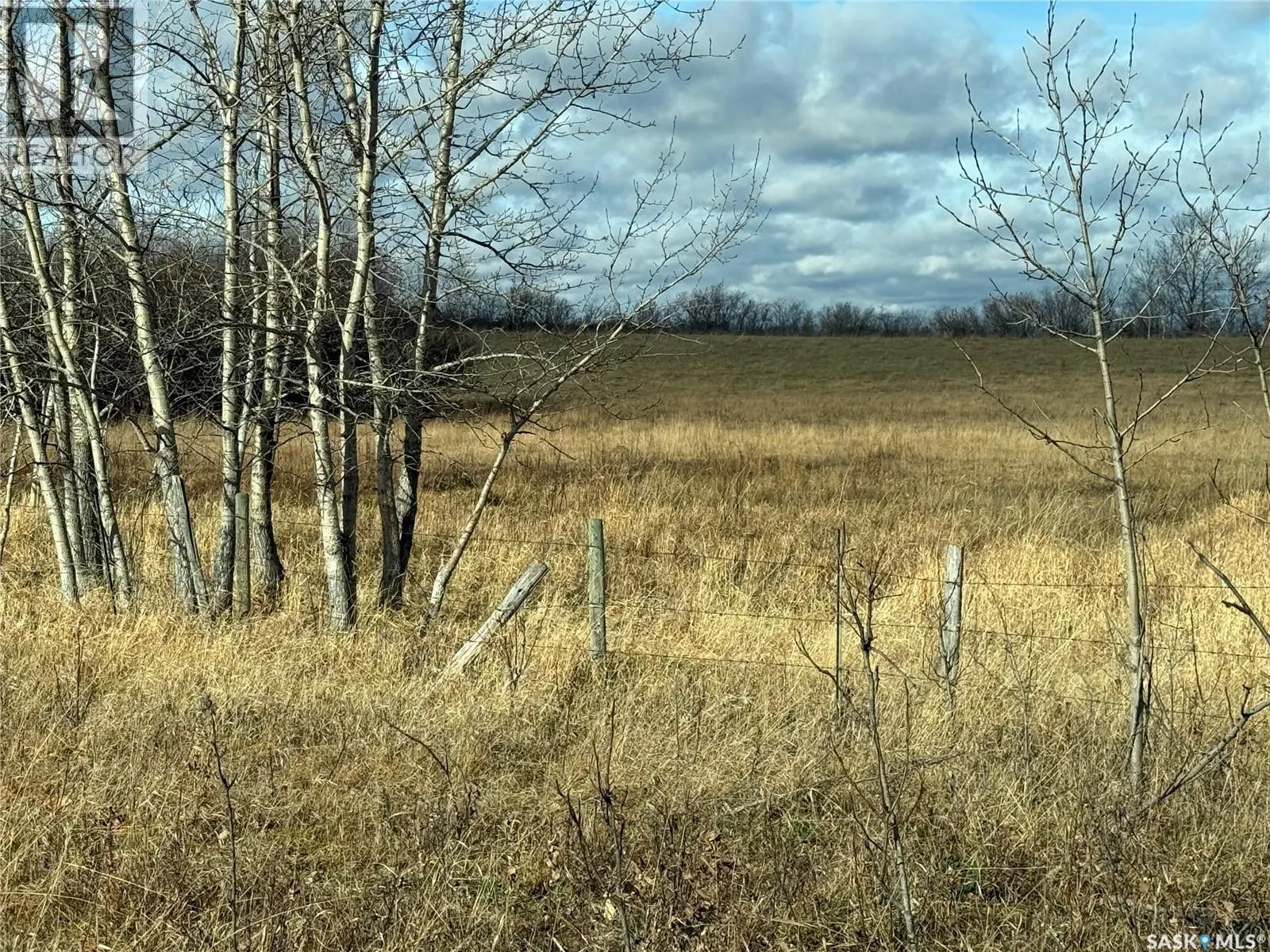 Shell Lake Pasture Quarter