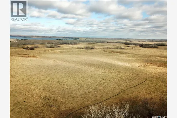 Shell Lake Pasture Quarter