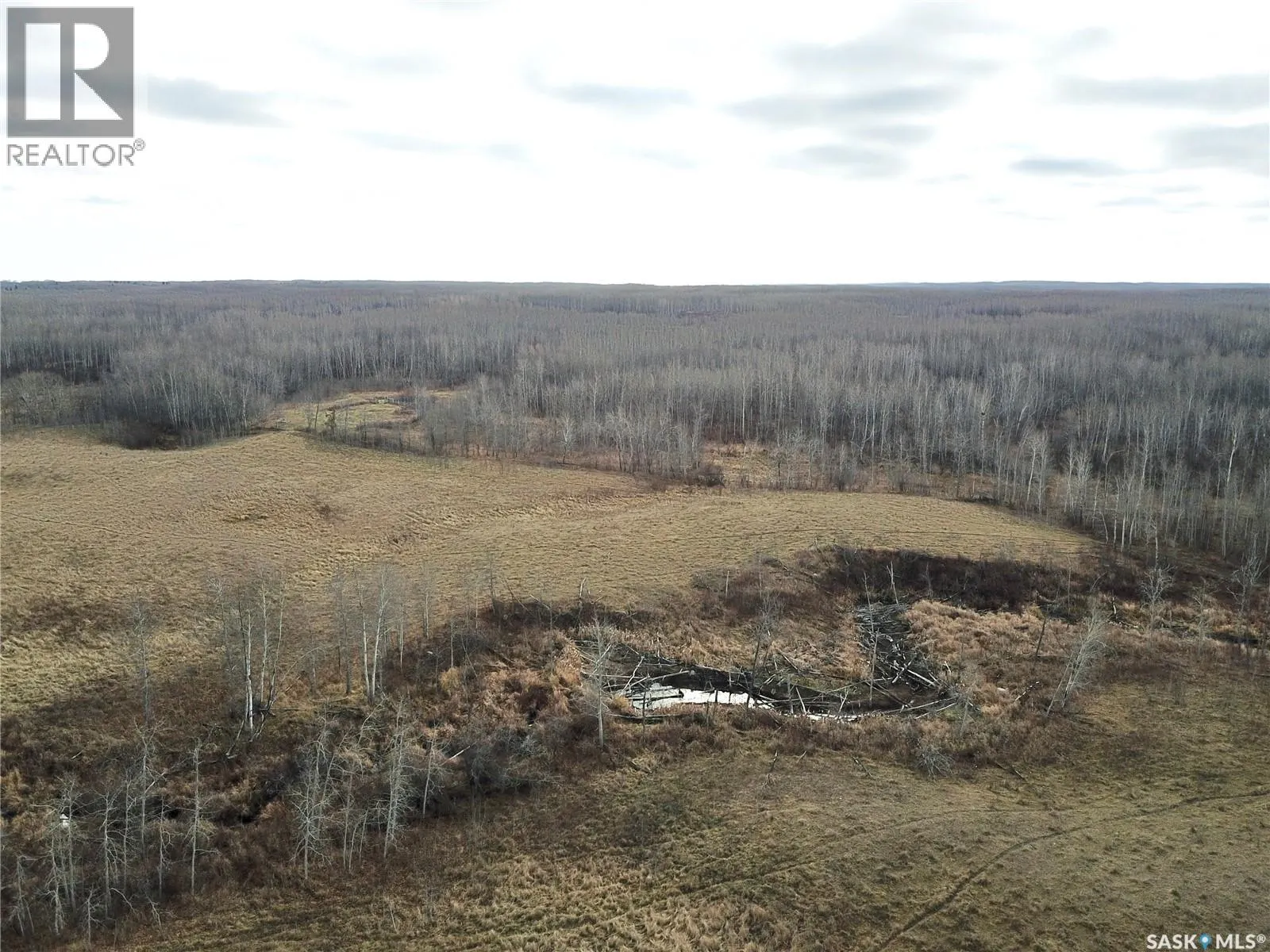 Shell Lake Pasture Quarter