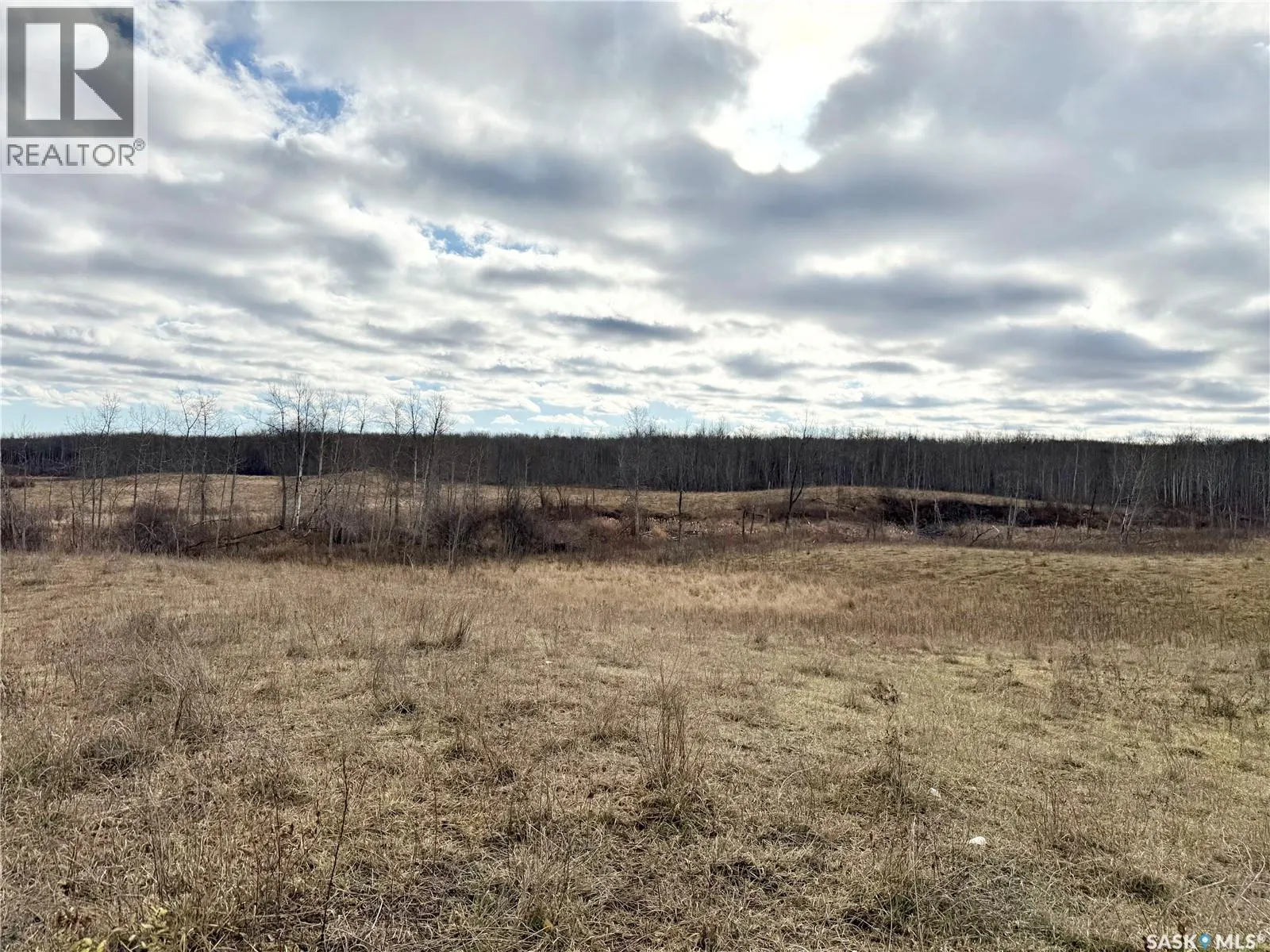 Shell Lake Pasture Quarter