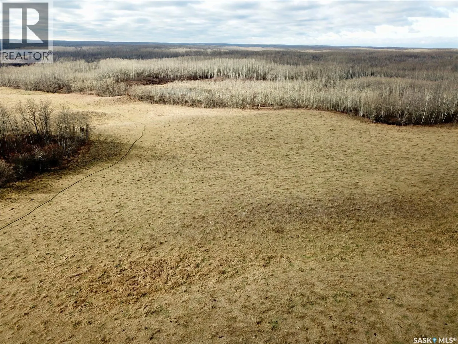 Shell Lake Pasture Quarter