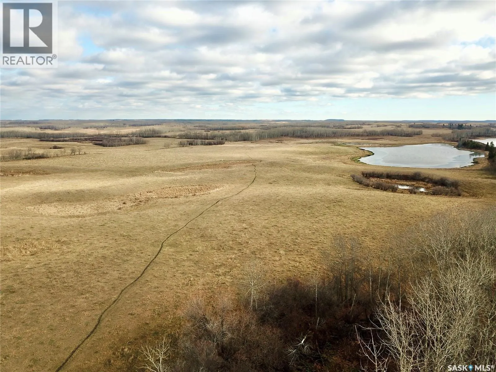 Shell Lake Pasture Quarter