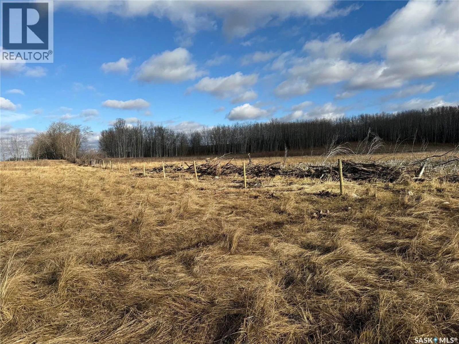 Shell Lake Pasture Quarter
