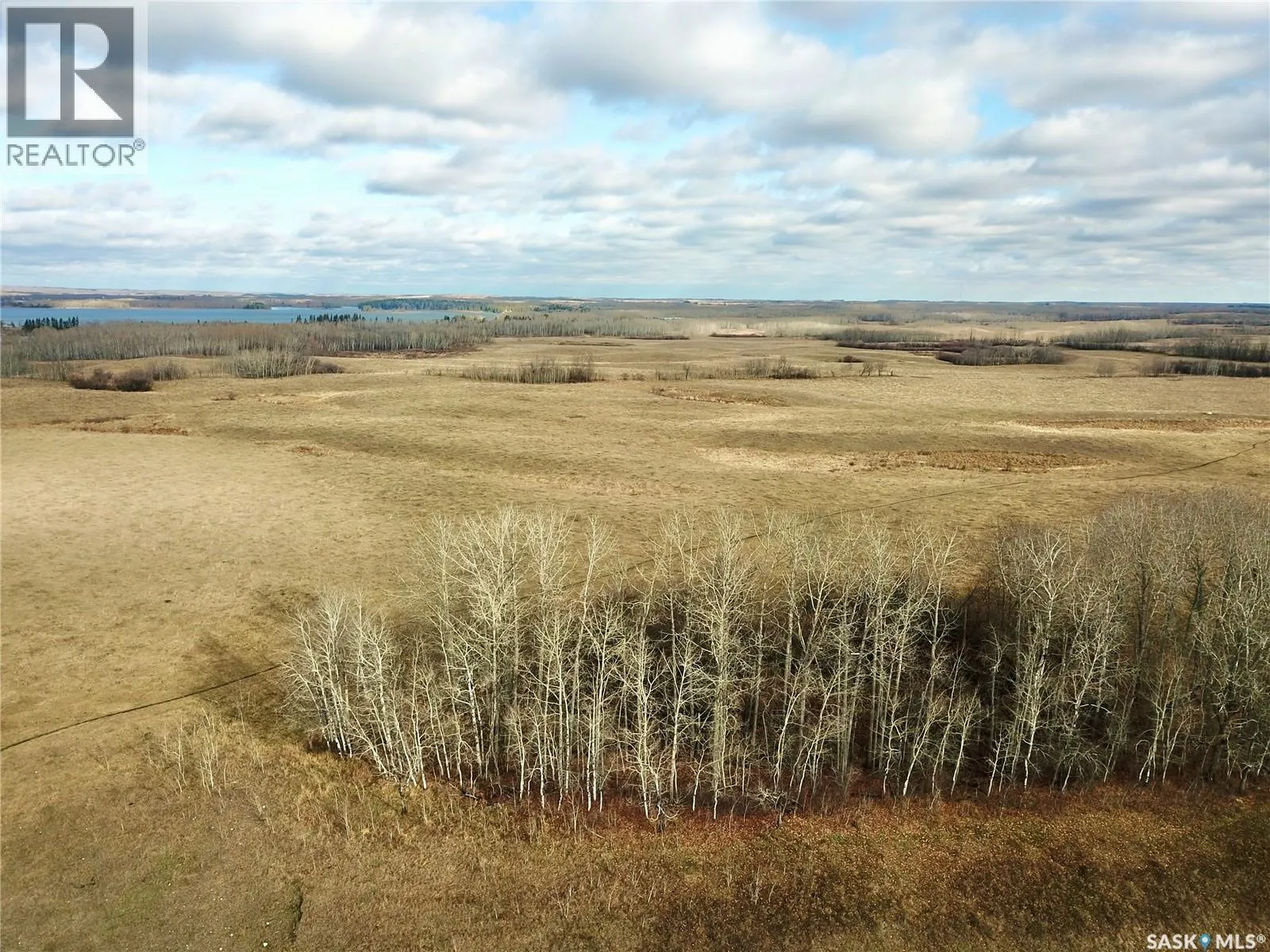 Shell Lake Pasture Quarter