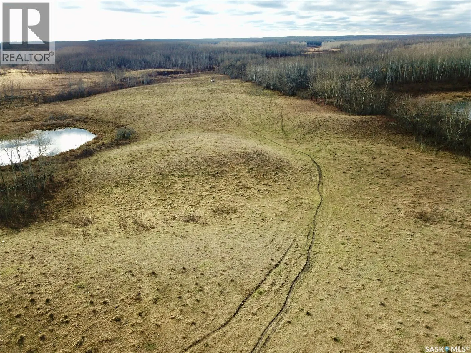 Shell Lake Pasture Quarter