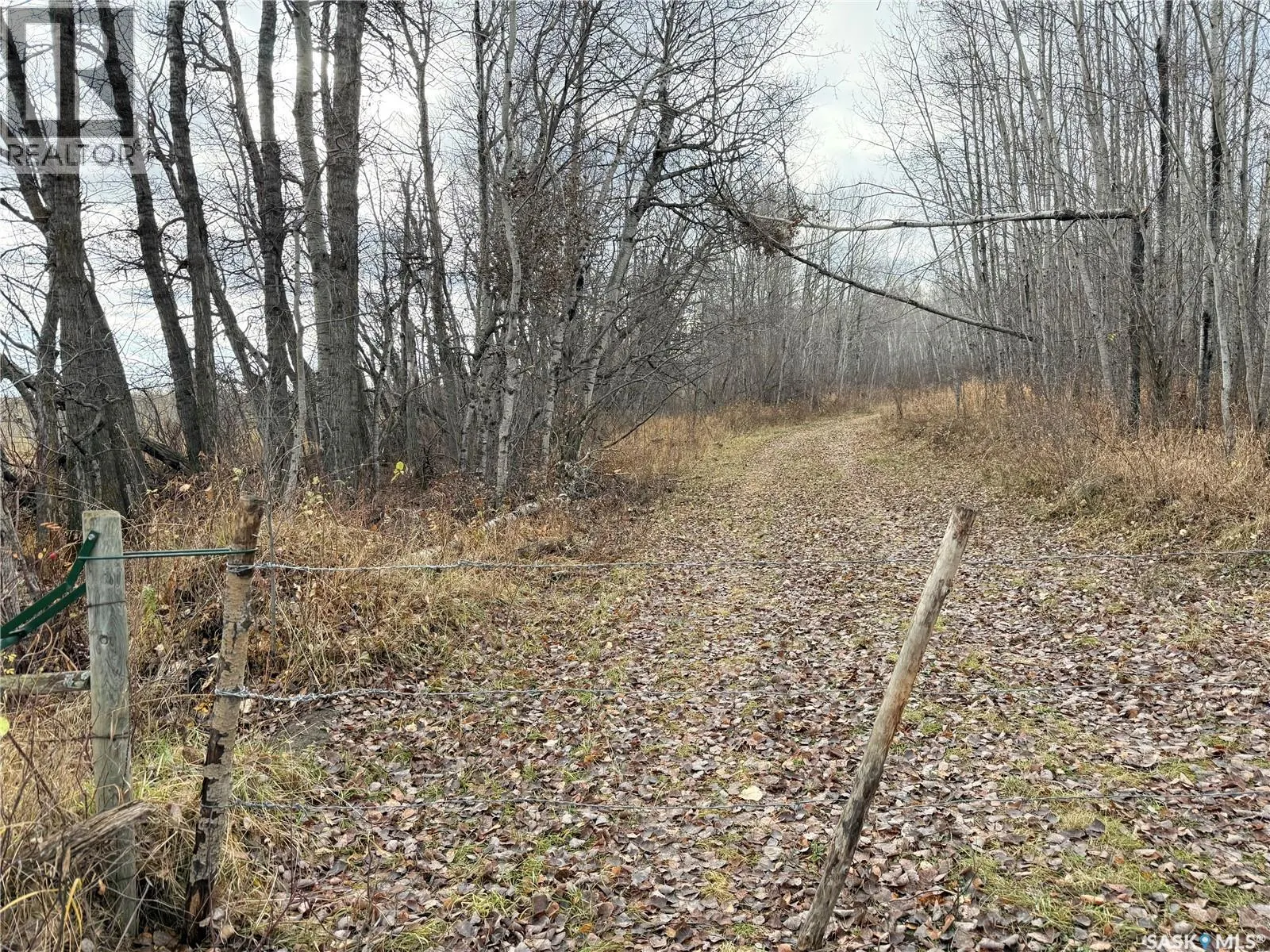 Shell Lake Pasture Quarter