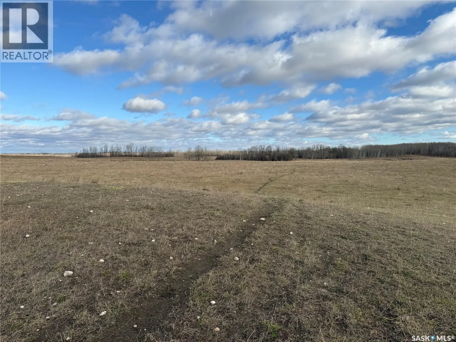 Shell Lake Pasture Quarter