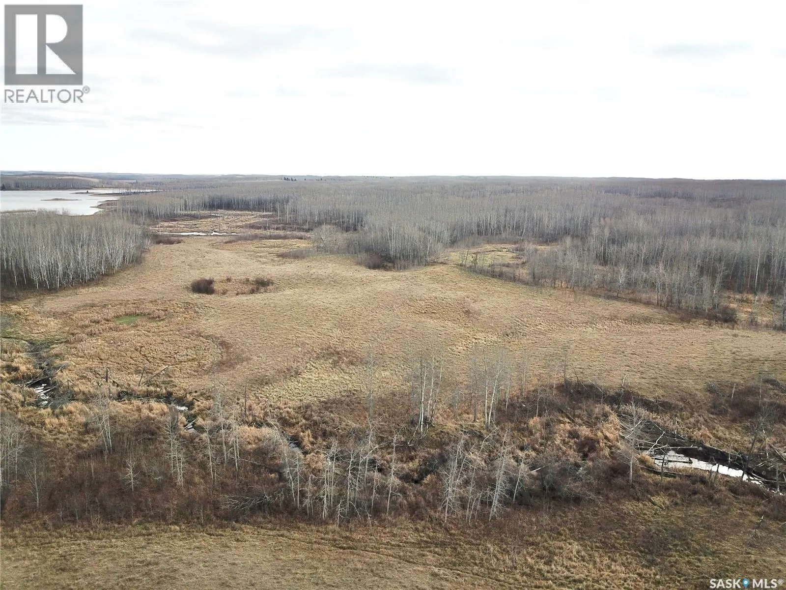 Shell Lake Pasture Quarter