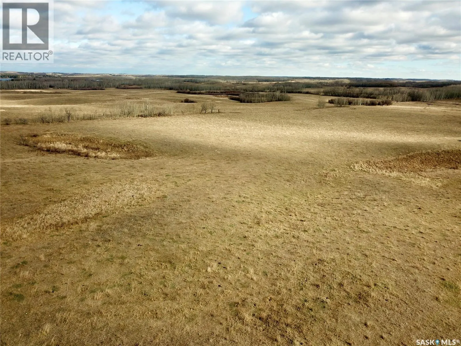 Shell Lake Pasture Quarter
