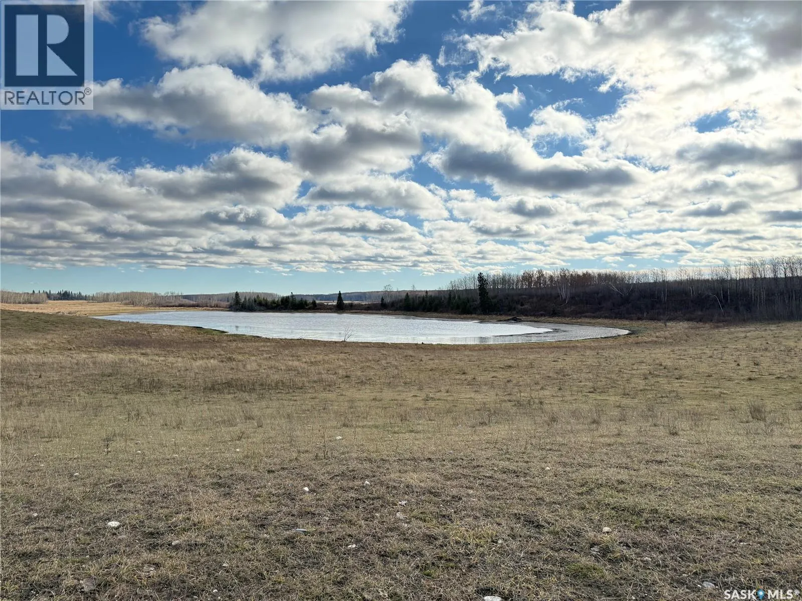 Shell Lake Pasture Quarter