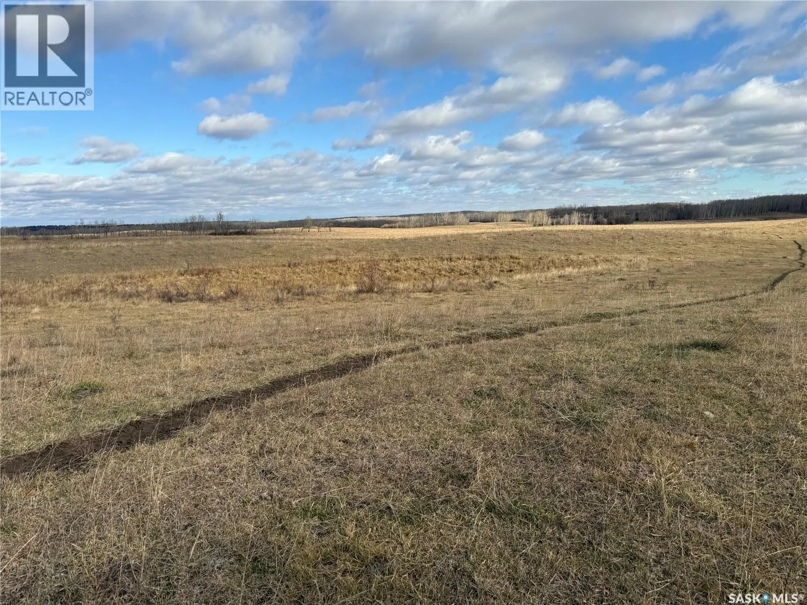 Shell Lake Pasture Quarter