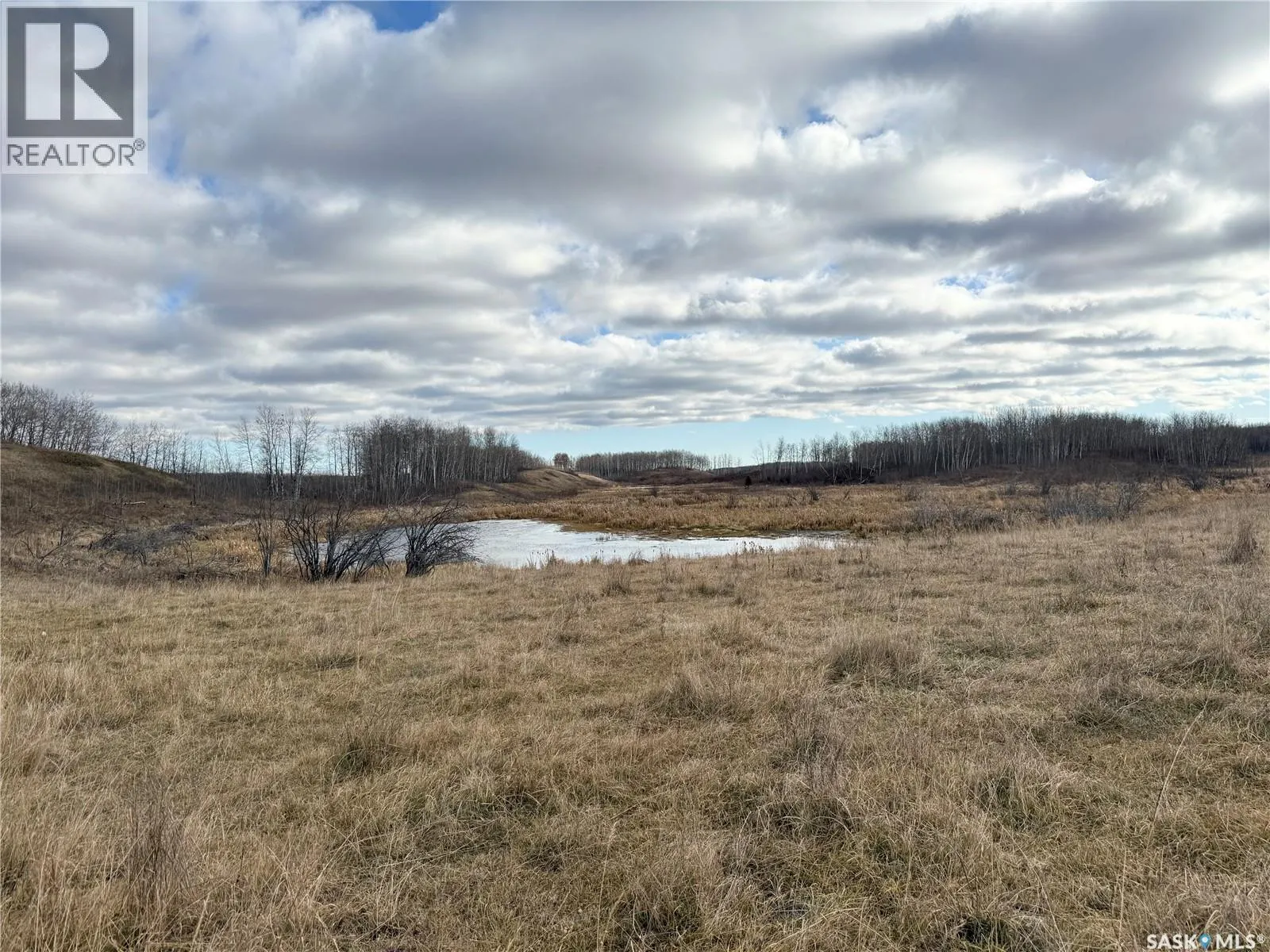 Shell Lake Pasture Quarter