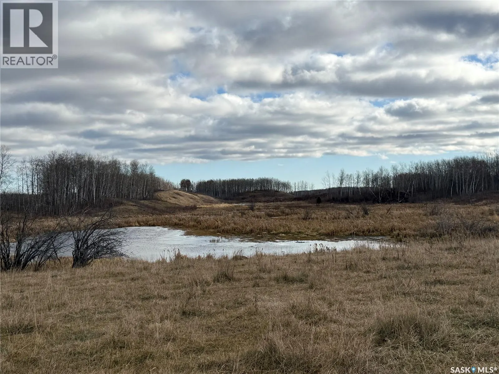 Shell Lake Pasture Quarter