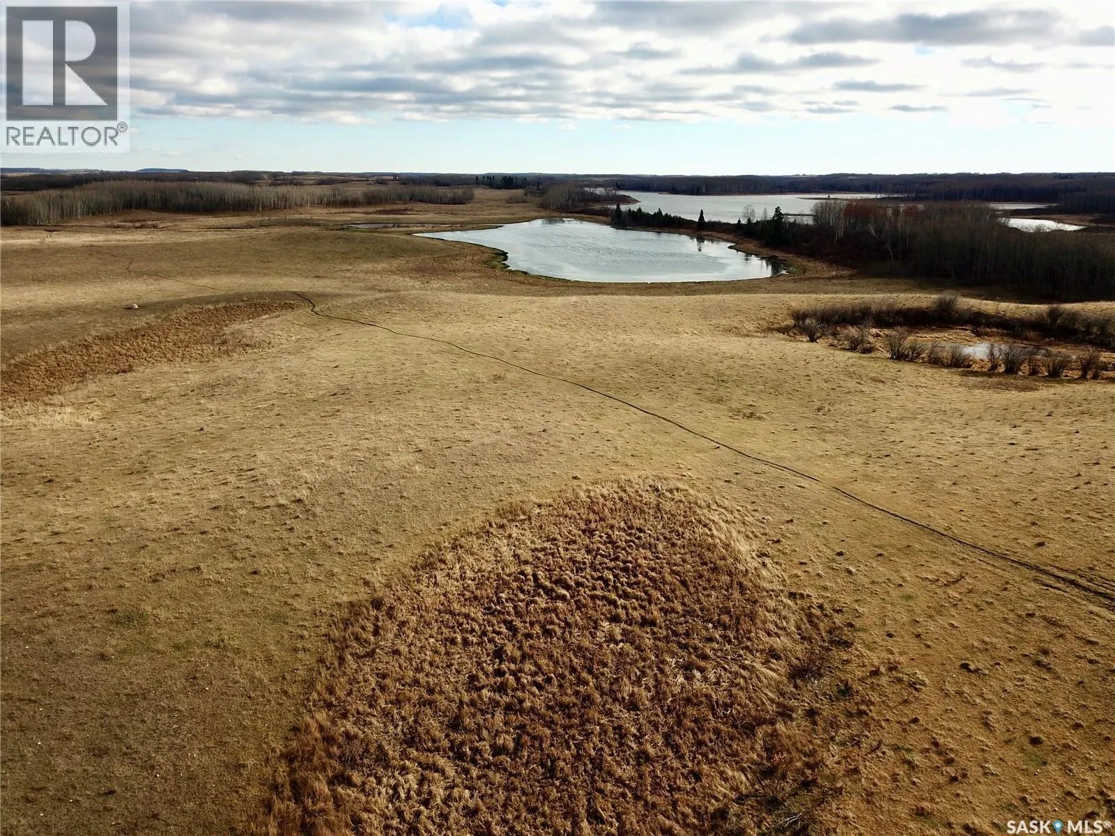 Shell Lake Pasture Quarter