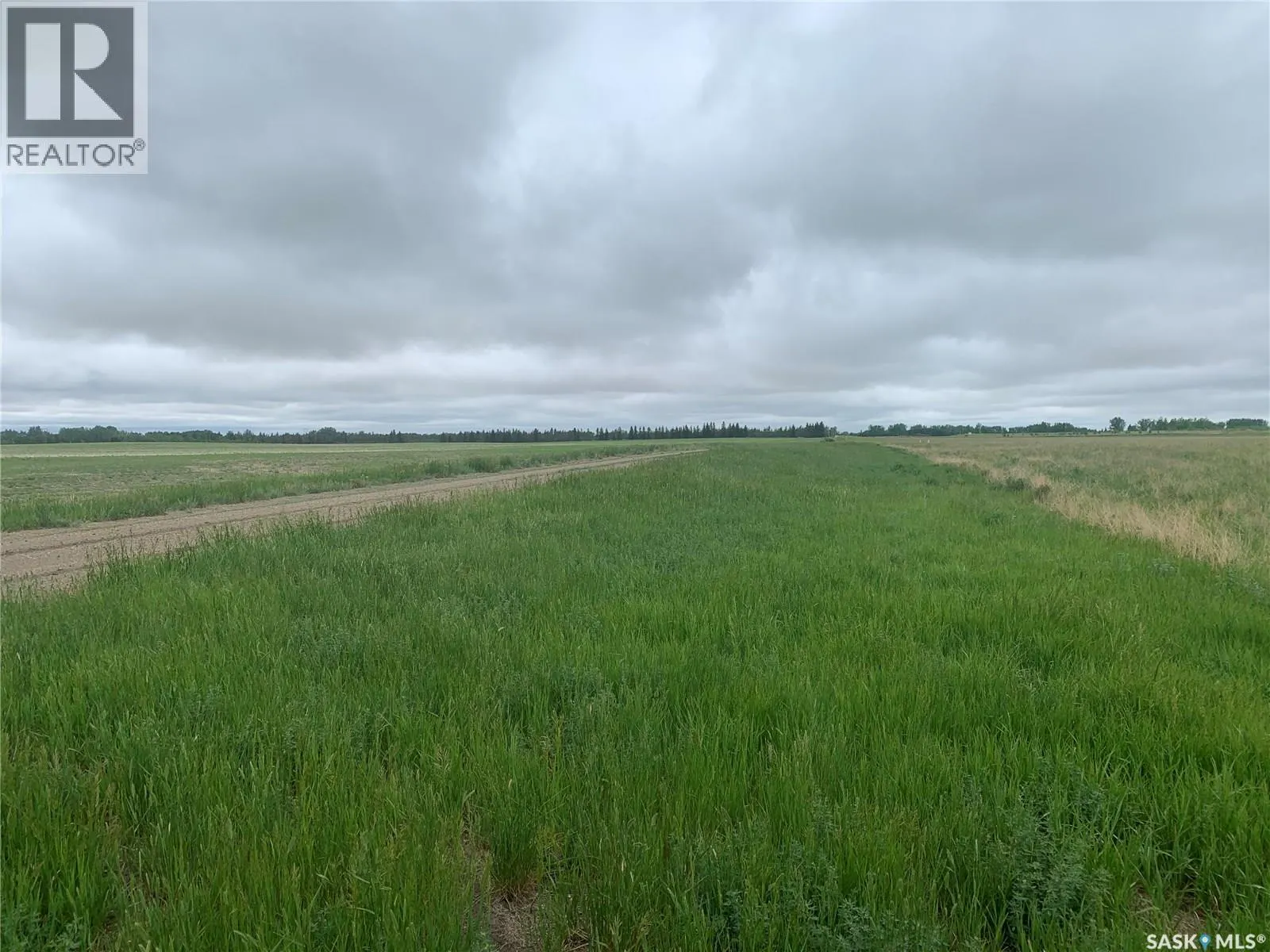 140 ACRES MCDONALD STREET EAST ON 46