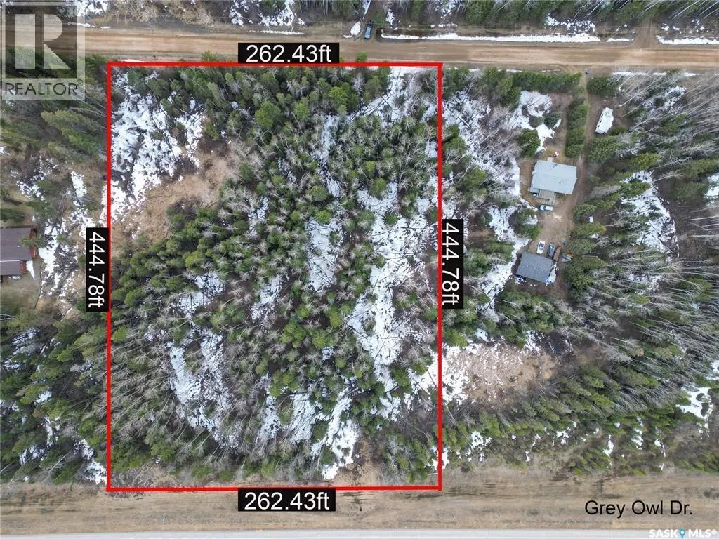 248 Grey Owl DRIVE