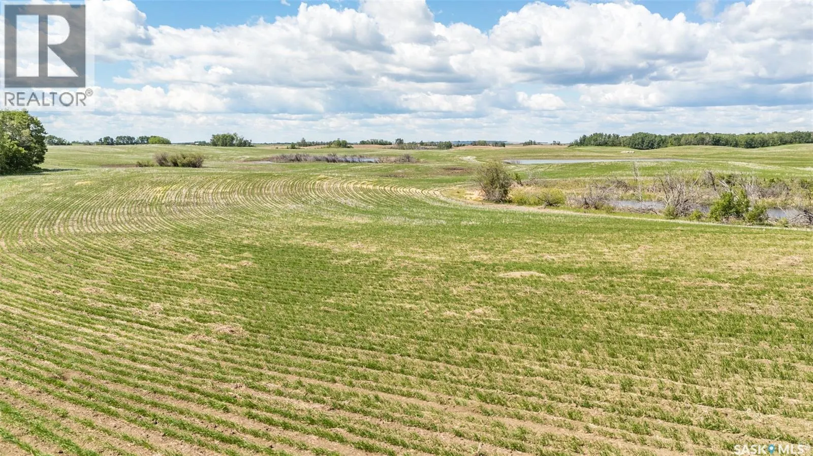 Davis Farmland