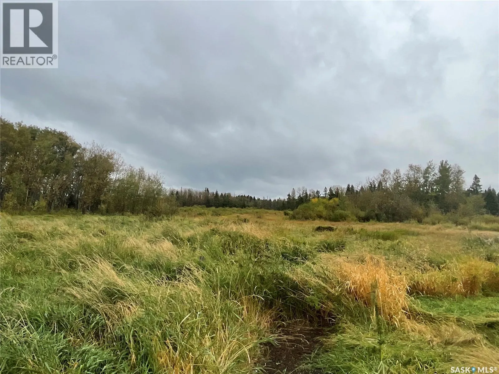 Picard Acreage
