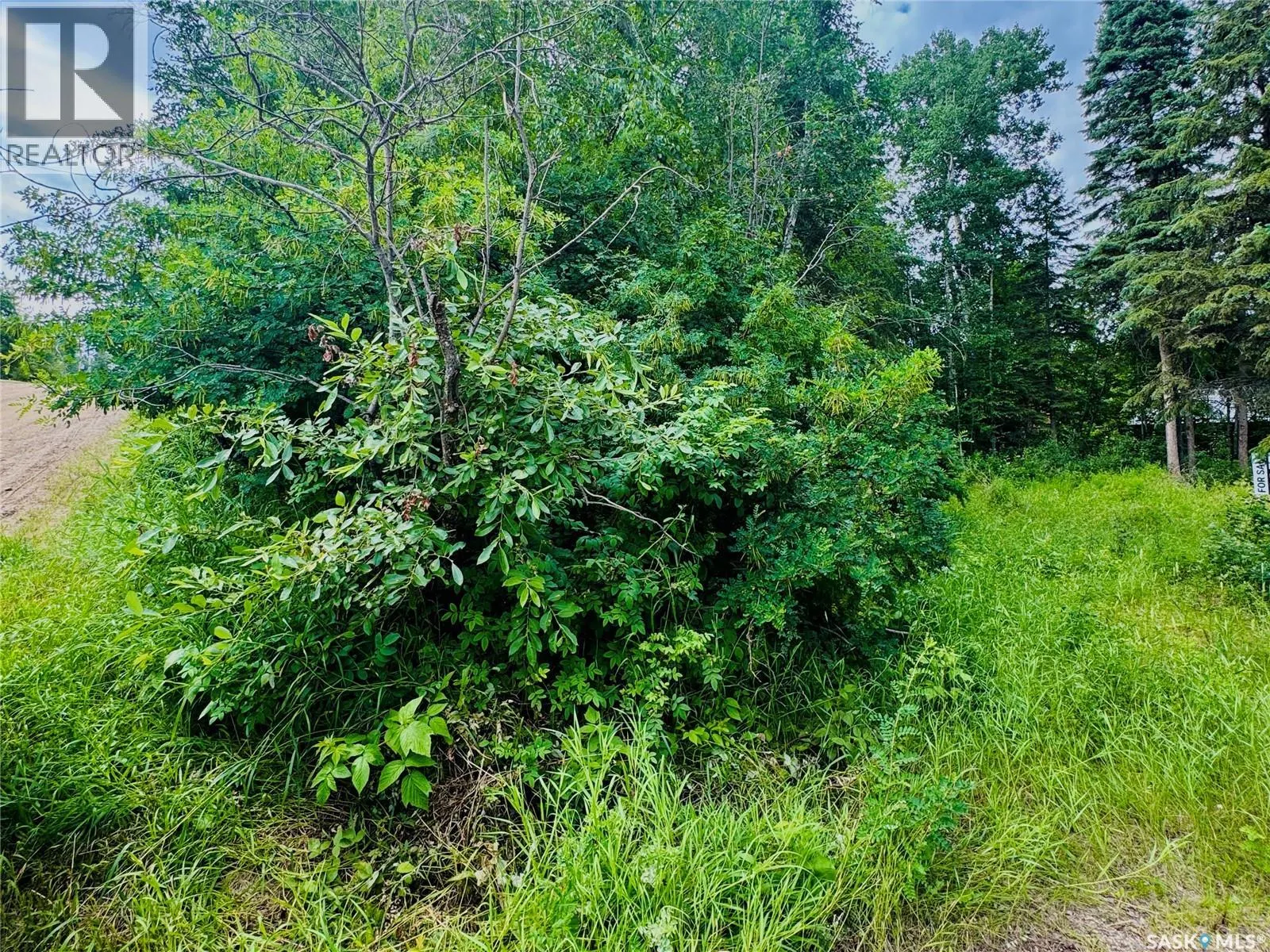 SK 264 Carwin Park DRIVE