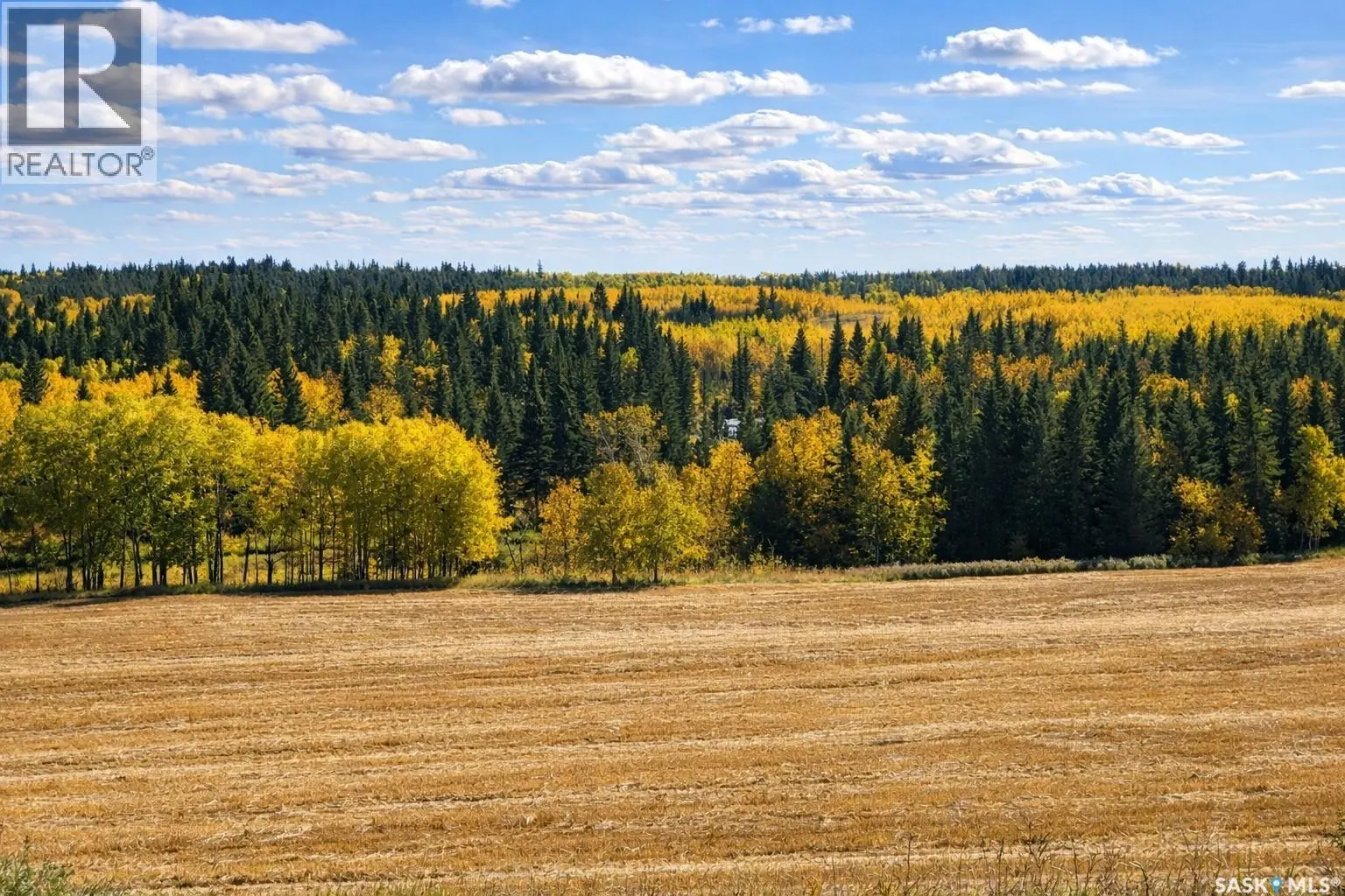 STURGEON VALLEY RANCH