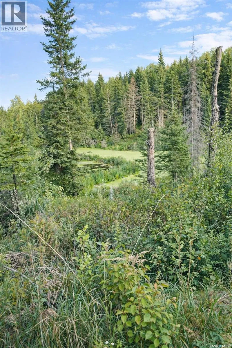 STURGEON VALLEY RANCH