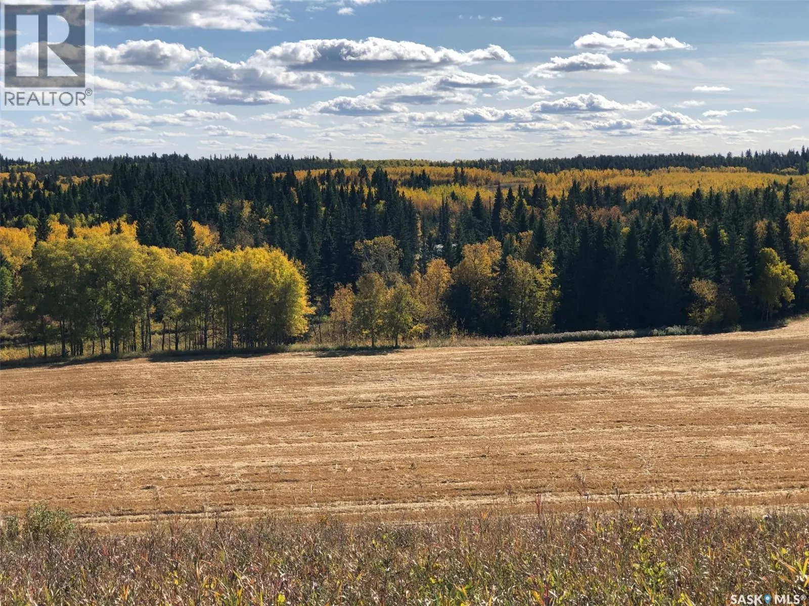STURGEON VALLEY RANCH