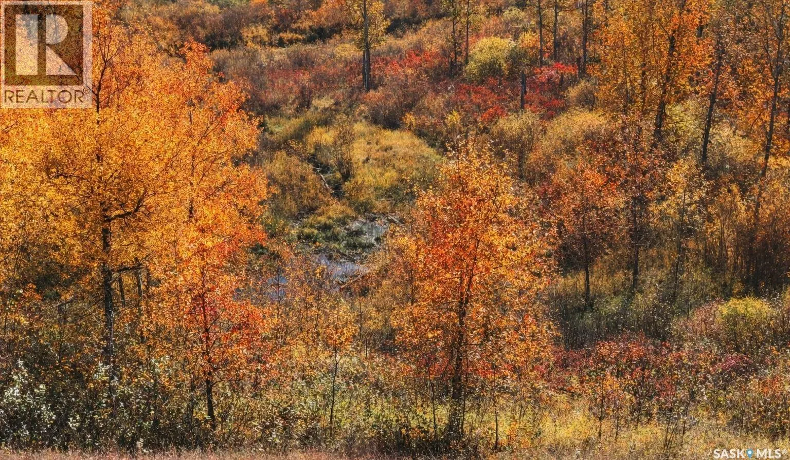 STURGEON VALLEY RANCH