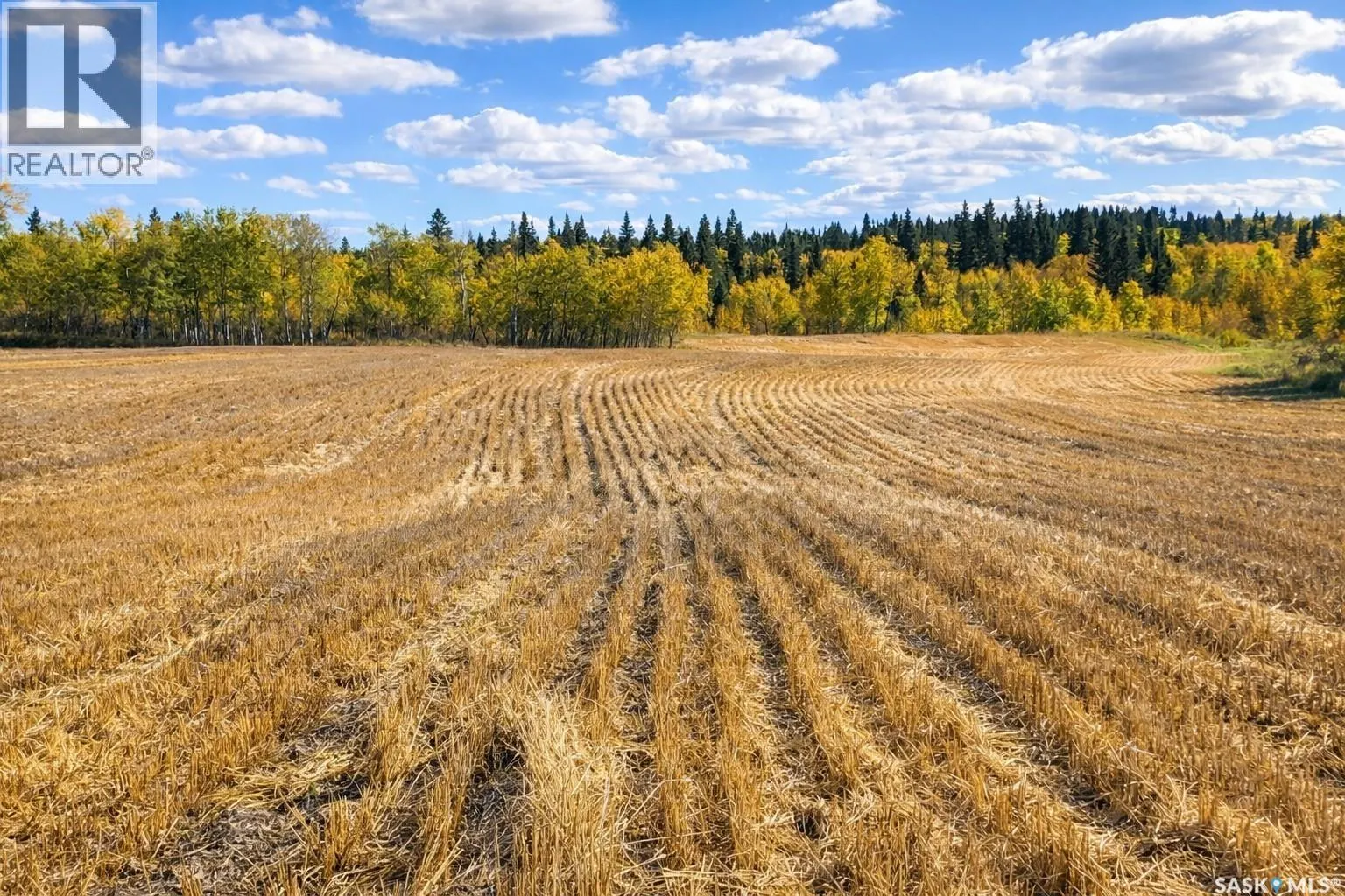 STURGEON VALLEY RANCH