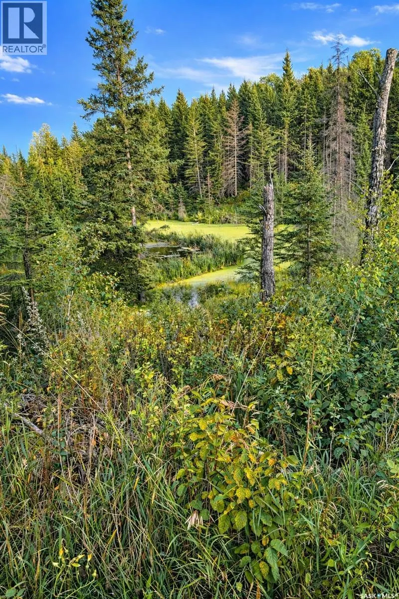 STURGEON VALLEY RANCH