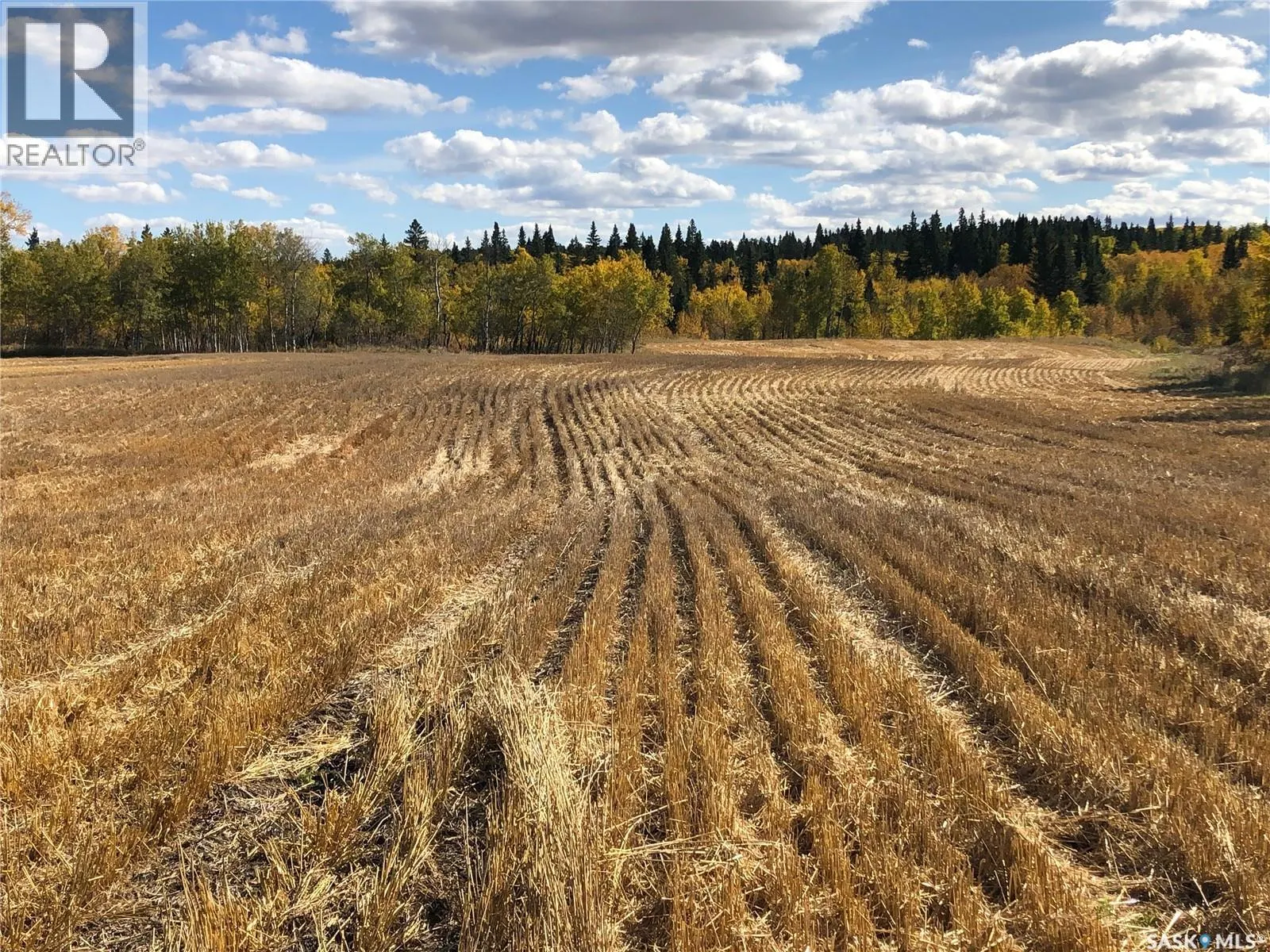 STURGEON VALLEY RANCH