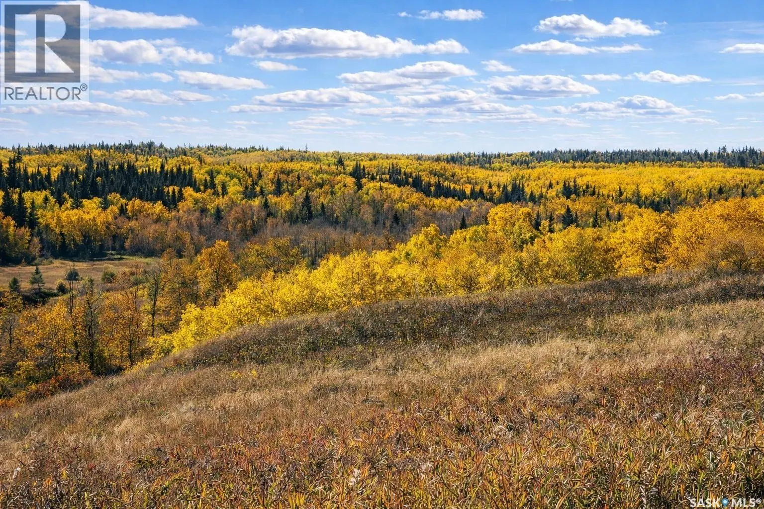 STURGEON VALLEY RANCH