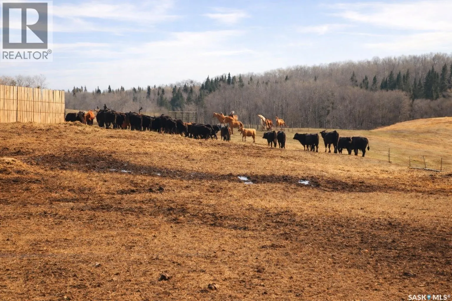 STURGEON VALLEY RANCH
