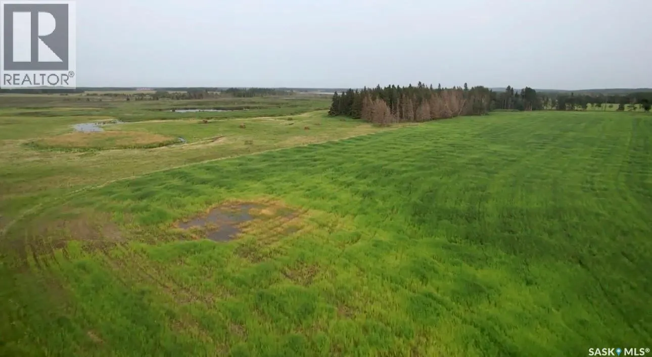 Kohlman Ranch near Big River, SK