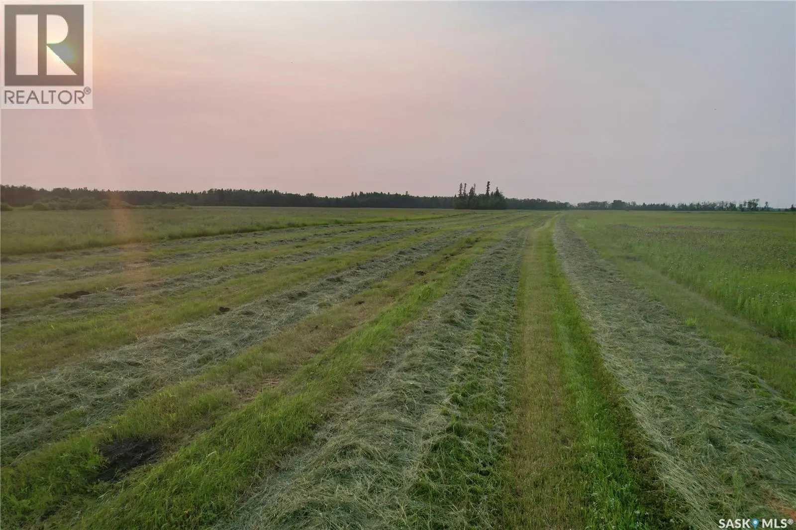 Kohlman Ranch near Big River, SK