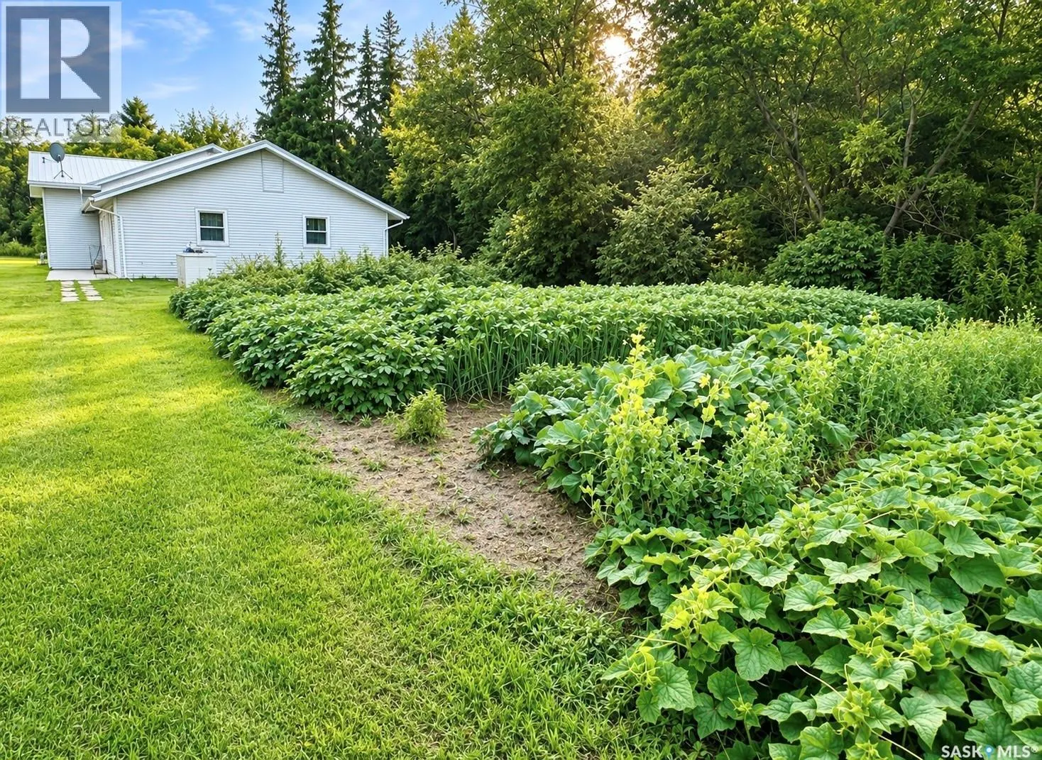 Kohlman Ranch near Big River, SK