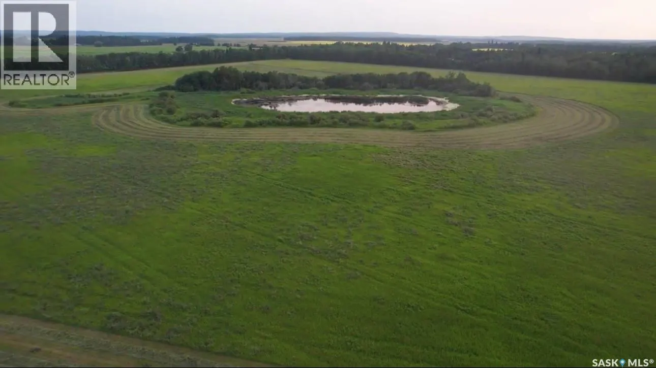 Kohlman Ranch near Big River, SK
