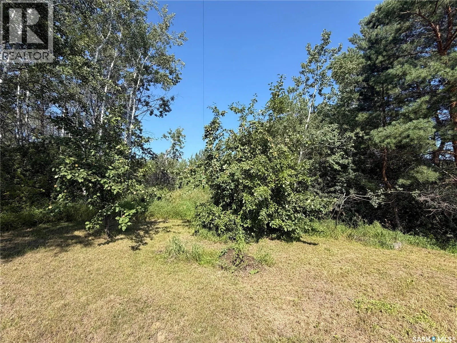 Cyr Acreage