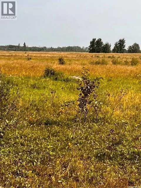 Fries Pasture