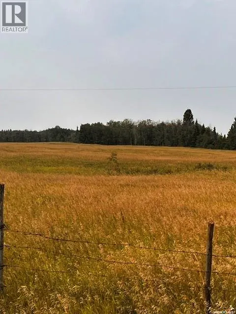 Fries Pasture