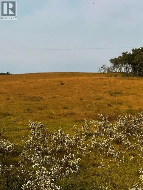 Fries Pasture
