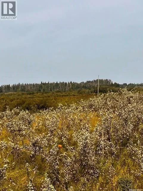 Fries Pasture