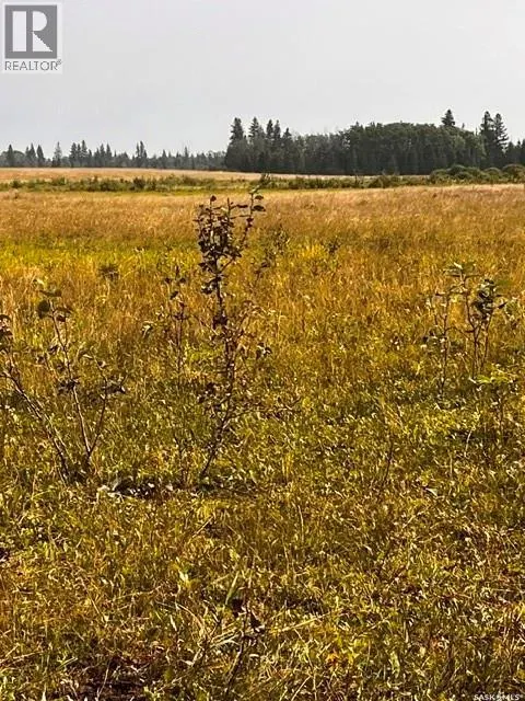 Fries Pasture