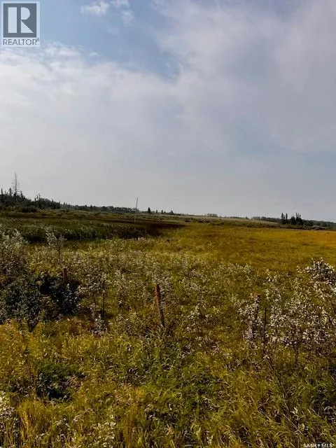 Fries Pasture